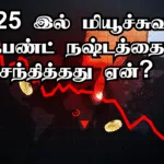 2025 இல் மியூச்சுவல் ஃபண்ட் நஷ்டத்தை சந்தித்தது ஏன்