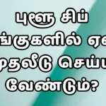 ப்ளூ சிப் பங்குகள் என்றால் என்ன